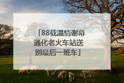 88载温情谢幕 通化老火车站送别最后一班车