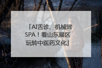 AI舌诊、机械臂SPA！看山东展区玩转中医药文化