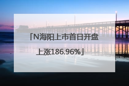 N海阳上市首日开盘上涨186.96%