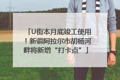 U街本月底竣工使用！新疆阿拉尔市胡杨河畔将新增“打卡点”